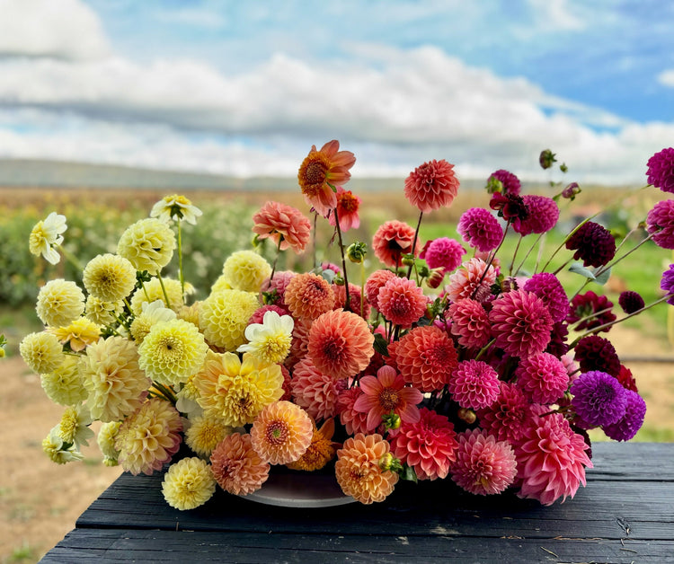 Fresh Flower Shop