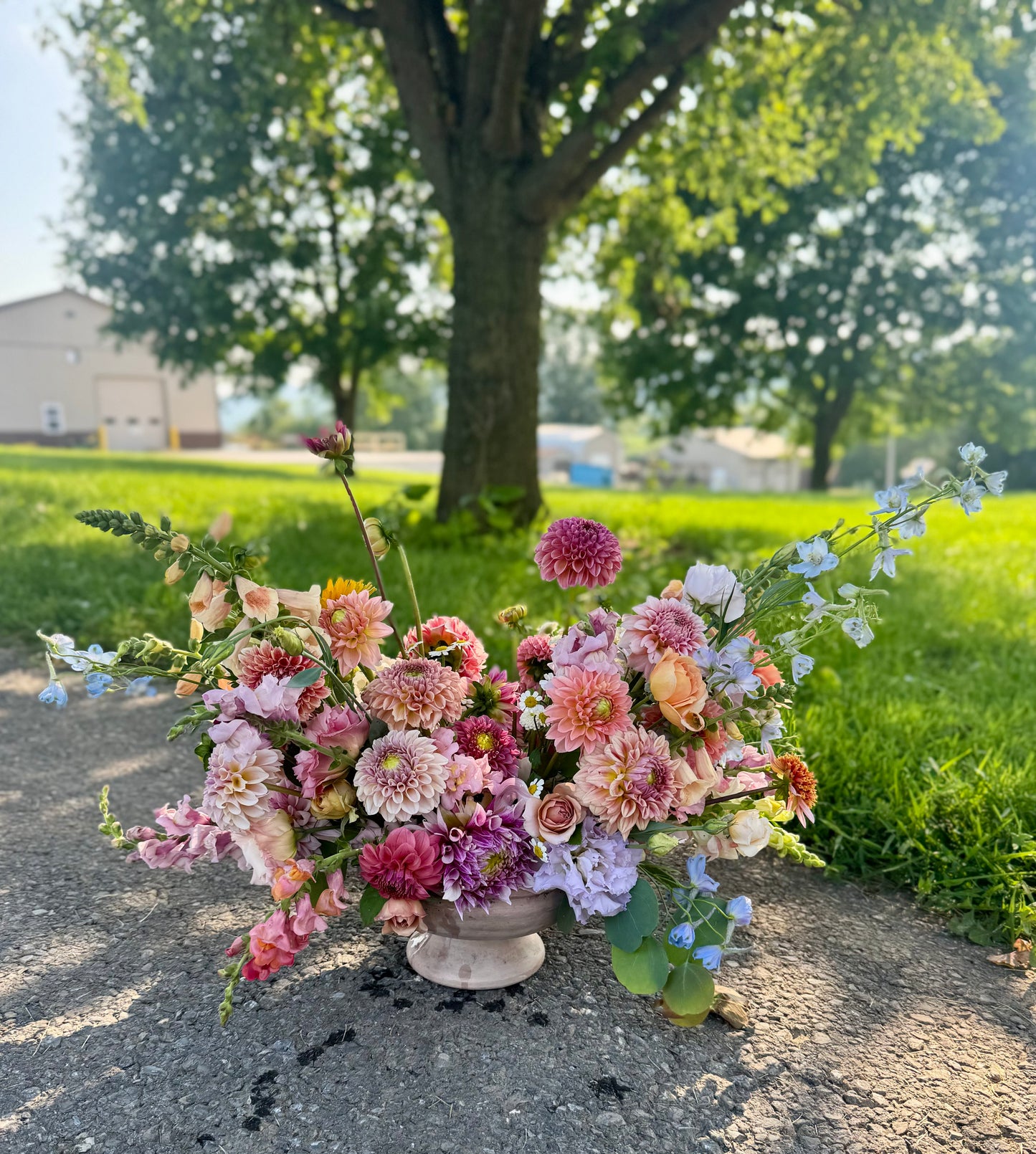 Large Compote Arrangement