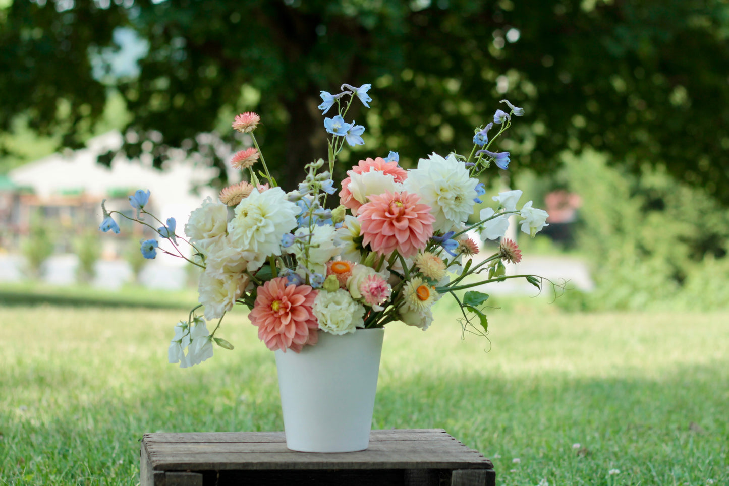 Medium Designer's Choice Arrangement