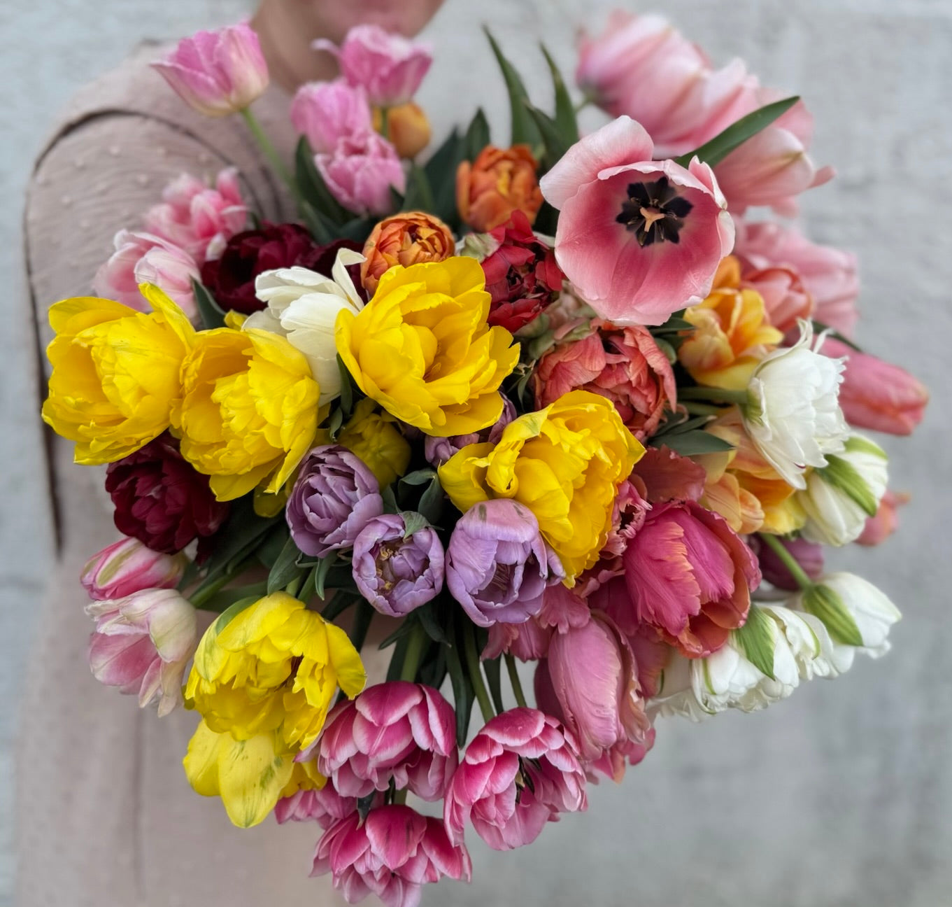 Bulb, Root, & Seed Shop