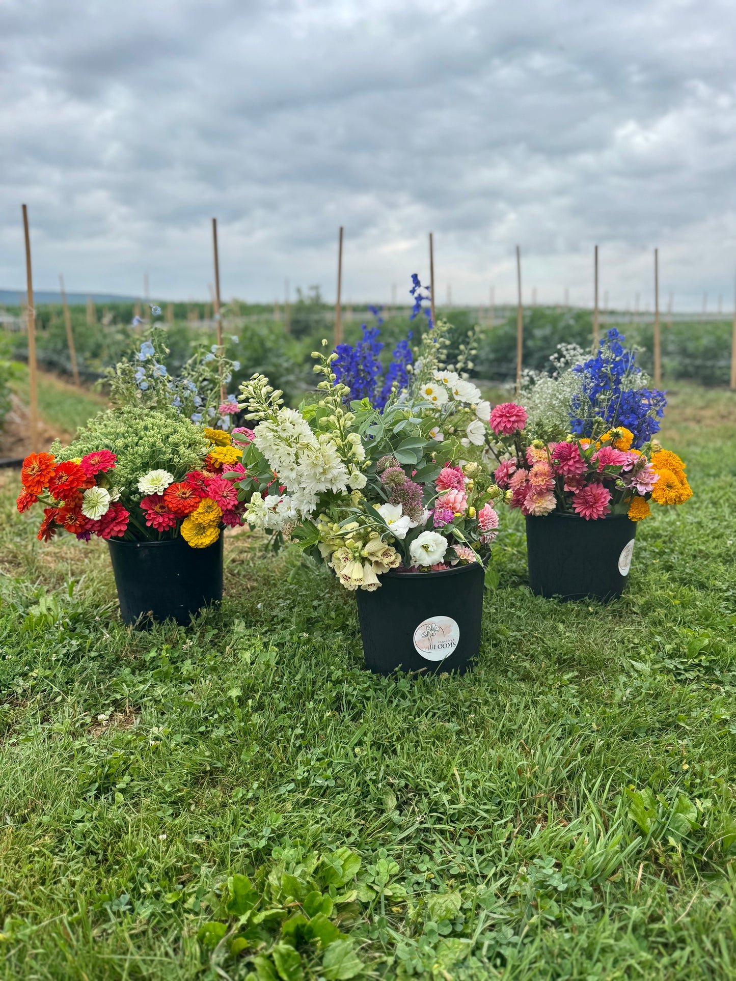 DIY Bucket