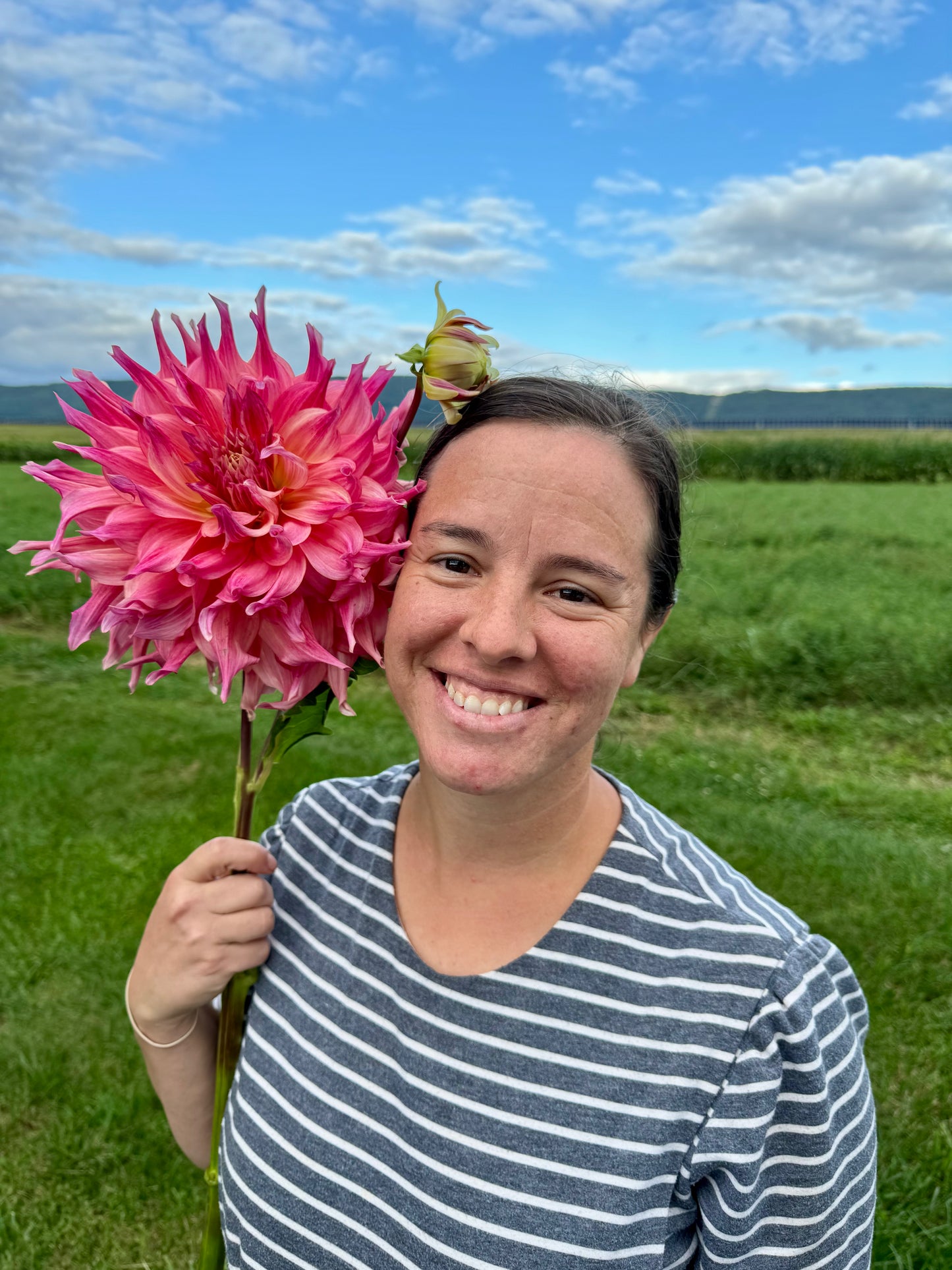 Penhill Watermelon Dahlia Tuber [Limit 1]