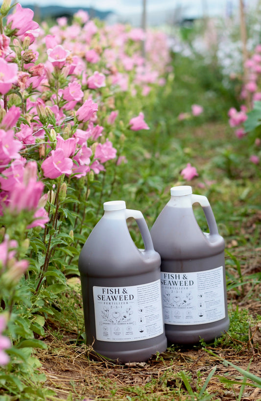 Organic Fish & Seaweed Fertilizer | 1 Gallon